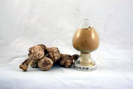 姬松茸提取物