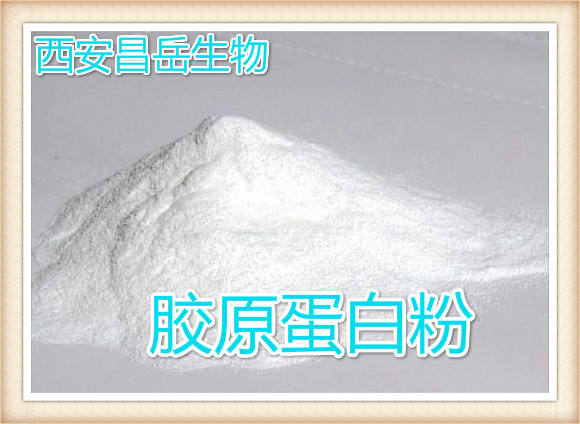 胶原蛋白粉