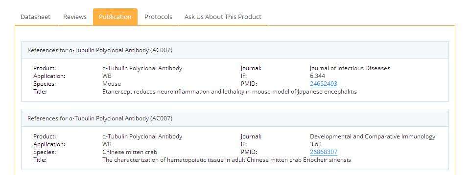 α-Tubulin Polyclonal Antibody