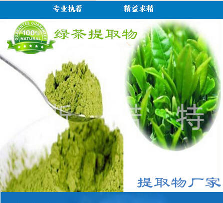 纯天然绿茶提取物 绿茶粉 