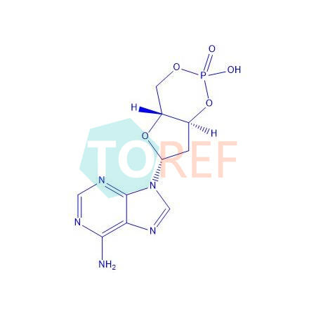 2'- 脱氧环 AMP