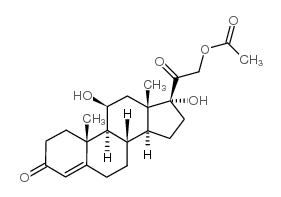 醋酸氢化可的松