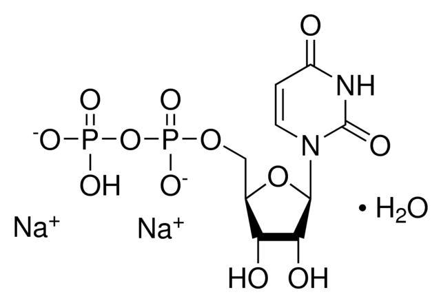 Uridine 5’-diphosphate disodium salt（UDP）二磷酸尿苷二钠