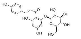 根皮苷,根皮甙, Phlorizin 98% HPLC