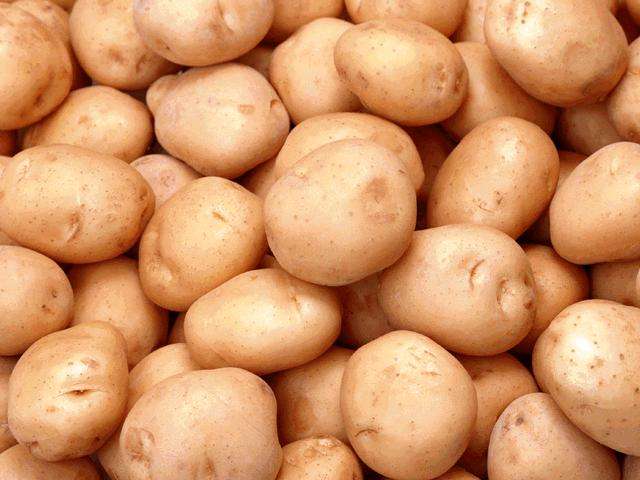 土豆提取物，马铃薯提取物 10:1, 土豆蛋白5%
