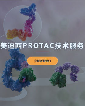 美迪西PROTAC分子设计与合成、靶向蛋白降解验证服务