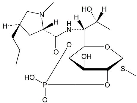 克林霉素磷酸酯杂质G