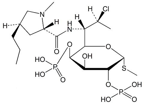 克林霉素磷酸酯杂质J