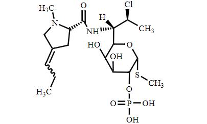 克林霉素磷酸酯杂质