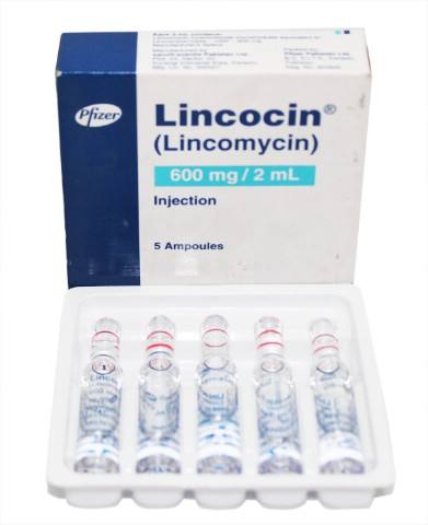 盐酸林可霉素注射液 Lincomycin Injection/ Lincocin 300mg/ml（以 C18H34N2O6S计）1、2ml