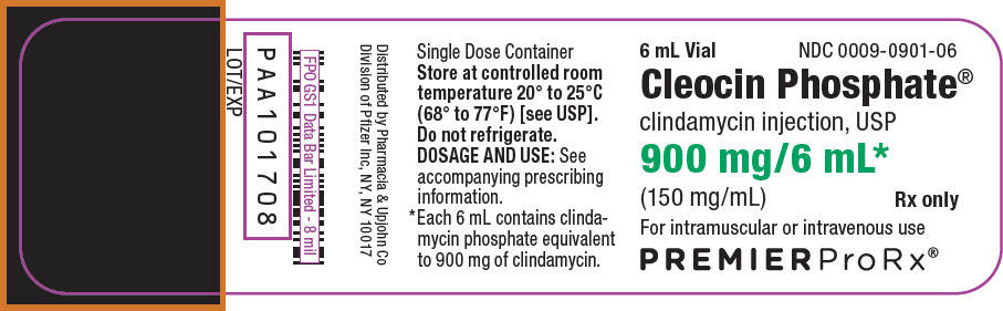 克林霉素磷酸酯注射液 Clindamycin Injection/CleocinPhosphate EQ 150MG BASE/ML（900mg/6ml）