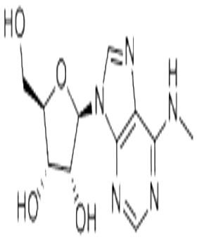 N6-Methyladenosine 1867-73-8