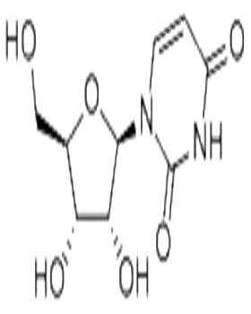 Uridine 58-96-8
