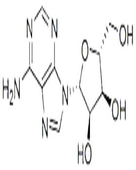 Adenosine  58-61-7