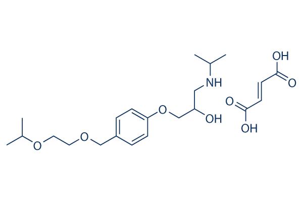 富马酸比索洛尔薄膜衣片 Bisoprolol Fumarate Film-coated Tablets