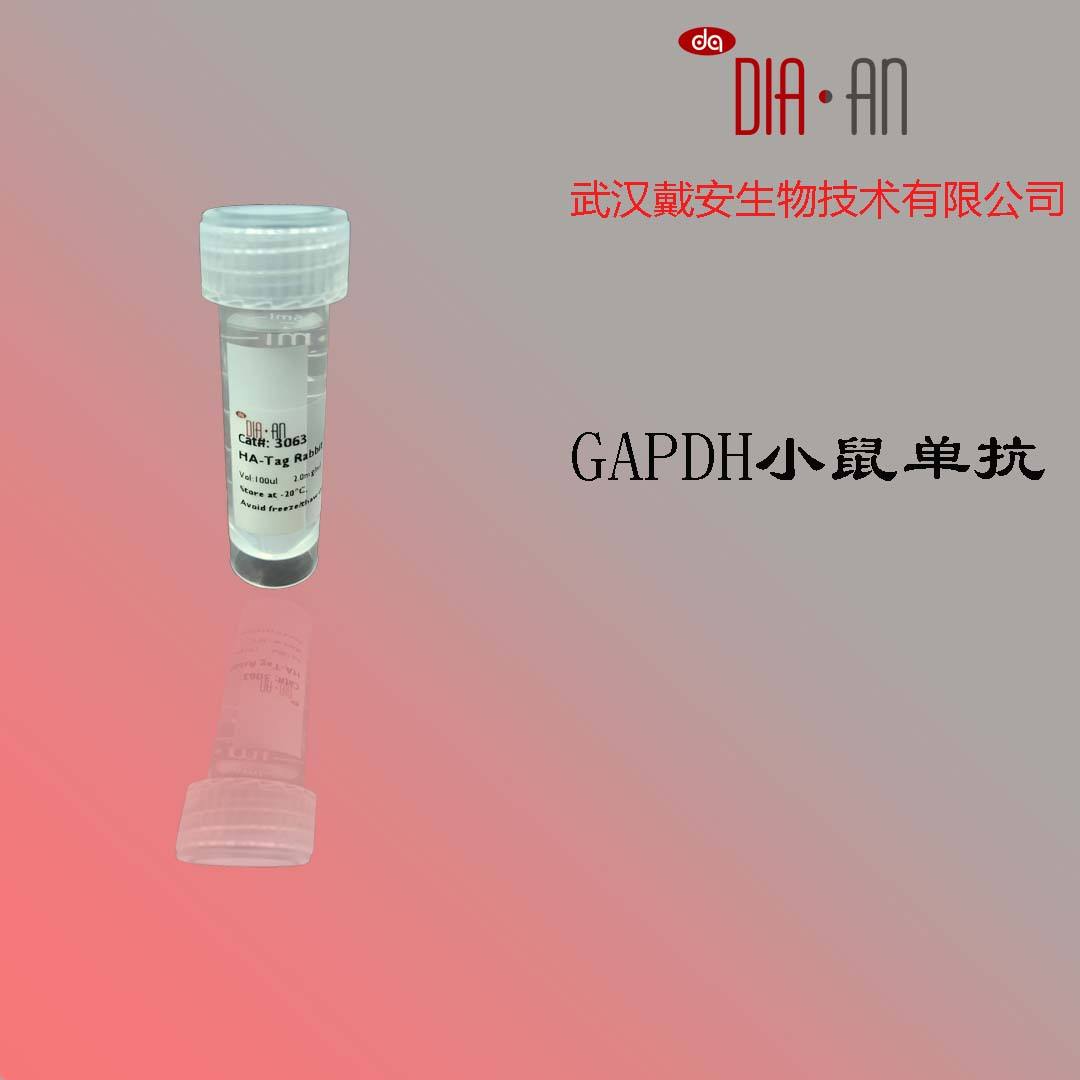 GAPDH Mouse Monoclonal Antibody（GAPDH小鼠单克隆抗体 ）