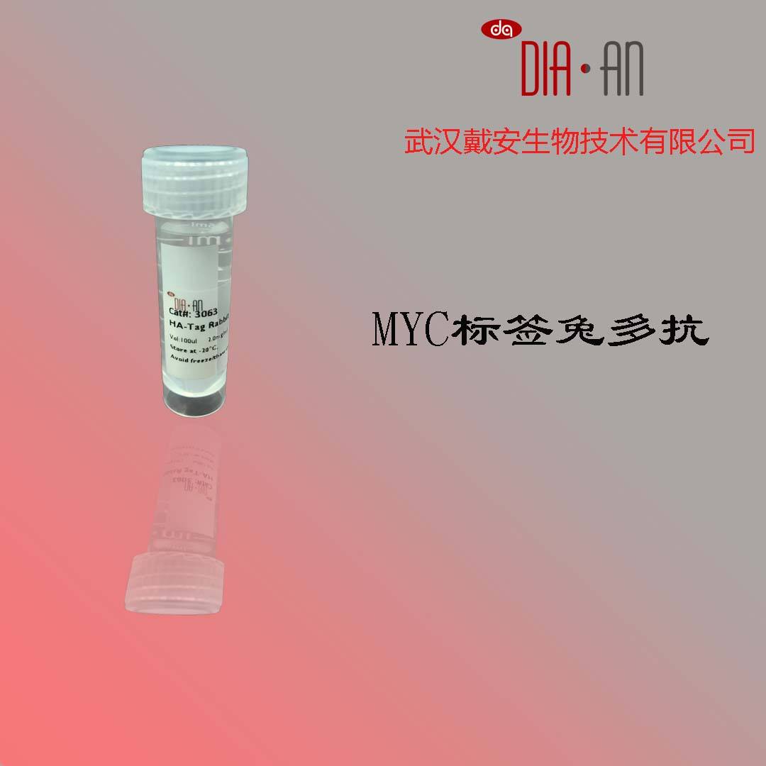 MYC-Tag Rabbit pAb （MYC标签多克隆抗体）