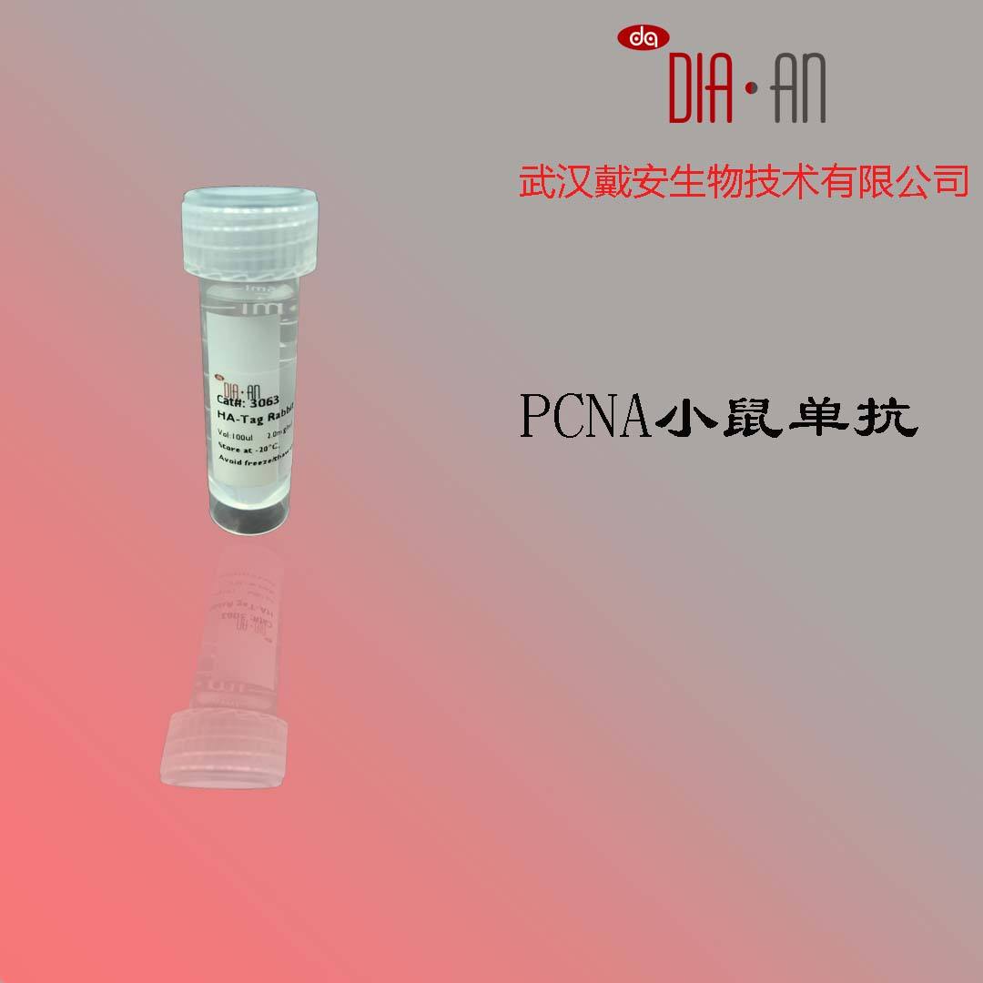 PCNA Mouse Monoclonal  Antibody  （ PCNA小鼠单克隆抗体）