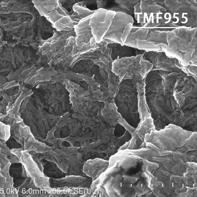 甘露醇微晶交聚木钙共处理物.