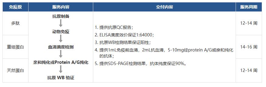 单克隆抗体制备及个性化抗体定制服务