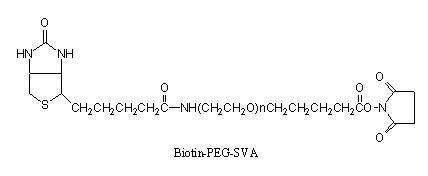 BIOTIN-PEG-SVA,