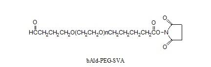 丁醛-聚乙二醇-琥珀酰亚胺戊酸酯