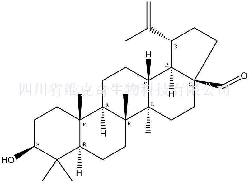 白桦脂醛      