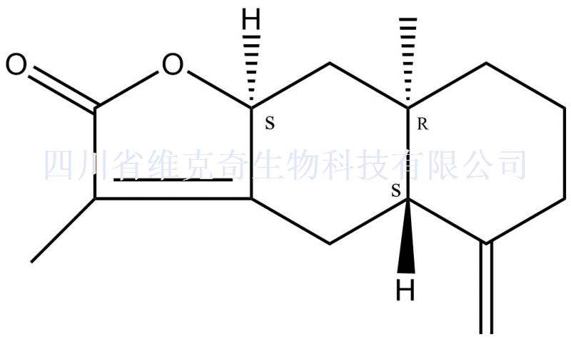 白术内酯II(苍术内酯II)    