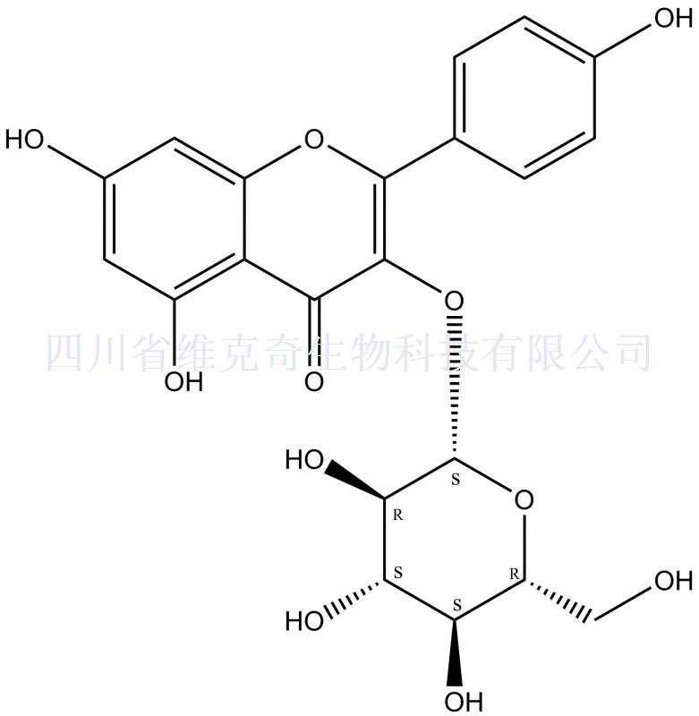 紫云英苷480-10-4