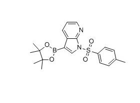 1-对甲苯磺酰基-1H-吡咯并[2,3-B]吡啶-3-硼酸频哪醇酯