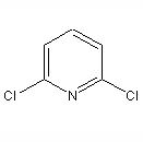 2,6-二氯吡啶 