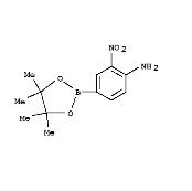 2-硝基-4-(4,4,5,5-四甲基-1,3,2-二杂氧戊硼烷-2-基)苯胺