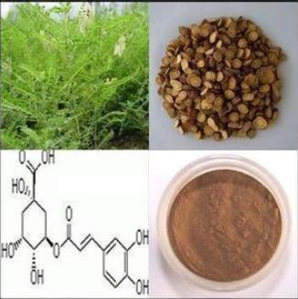 黄芪提取物 黄芪甲苷