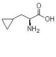 L-环丙基丙氨酸