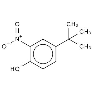 邻氨基对叔丁基苯酚