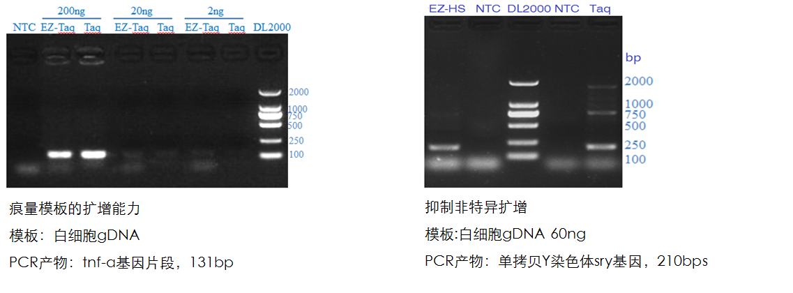 分子生物学工具酶 Molecular Biology Enzymes