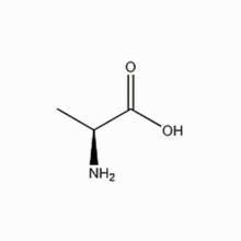 L-丙氨酸 【L-Alanine】